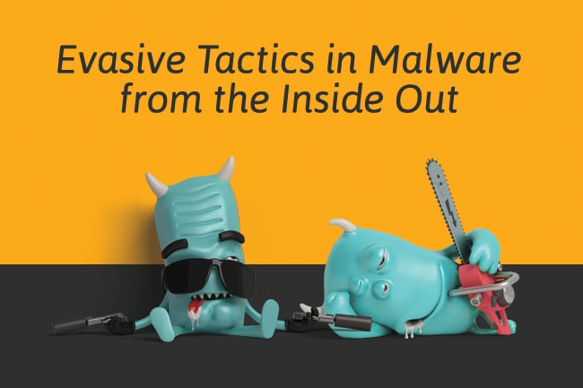 Evasive Tactics in Malware from the Inside Out